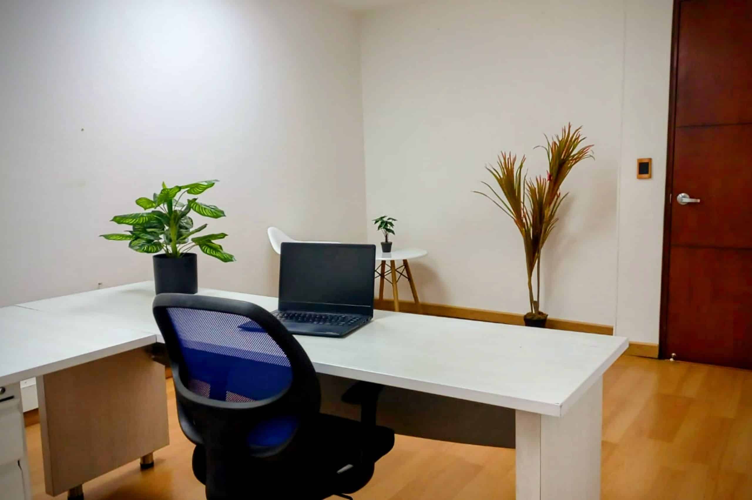 Oficina privada ejecutiva en Coworking Marbella con escritorio amplio, silla ergonómica y plantas decorativas para un ambiente de trabajo concentrado en Bogotá.